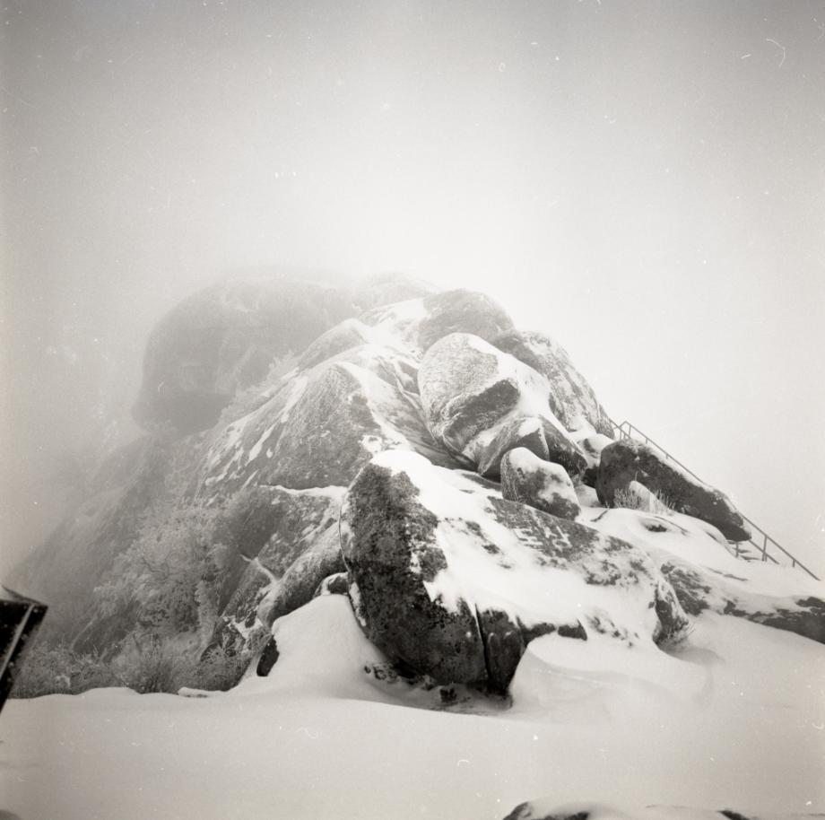 김운기 컬렉션이미지