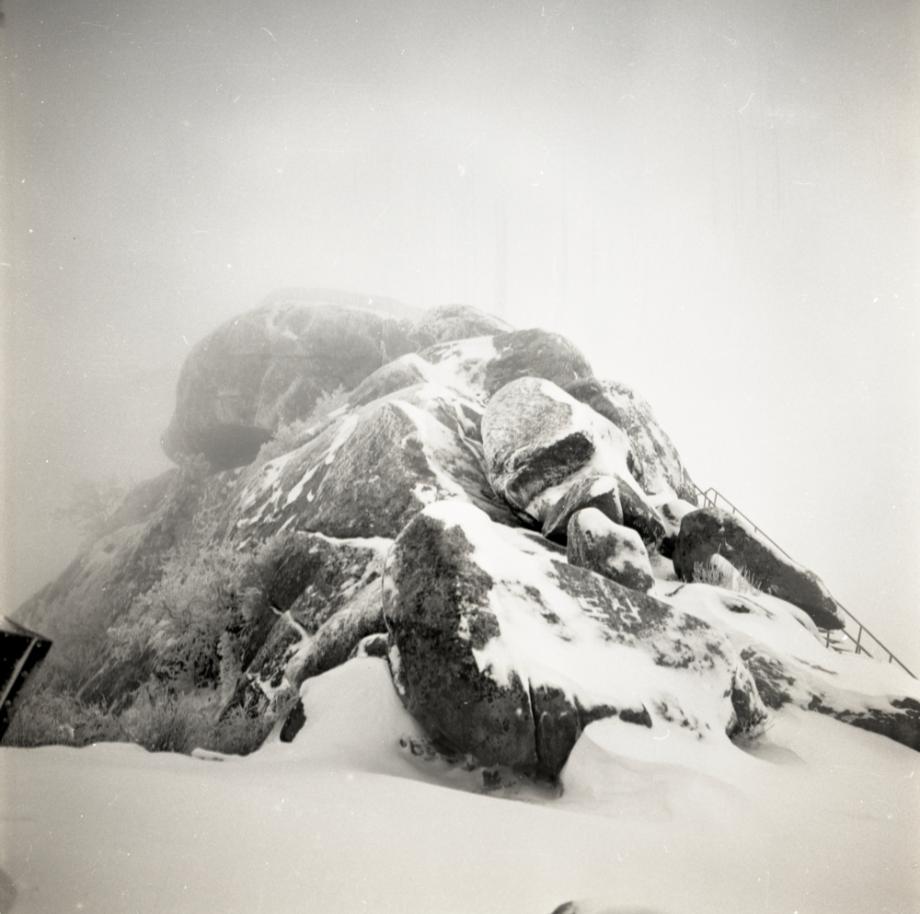 김운기 컬렉션이미지