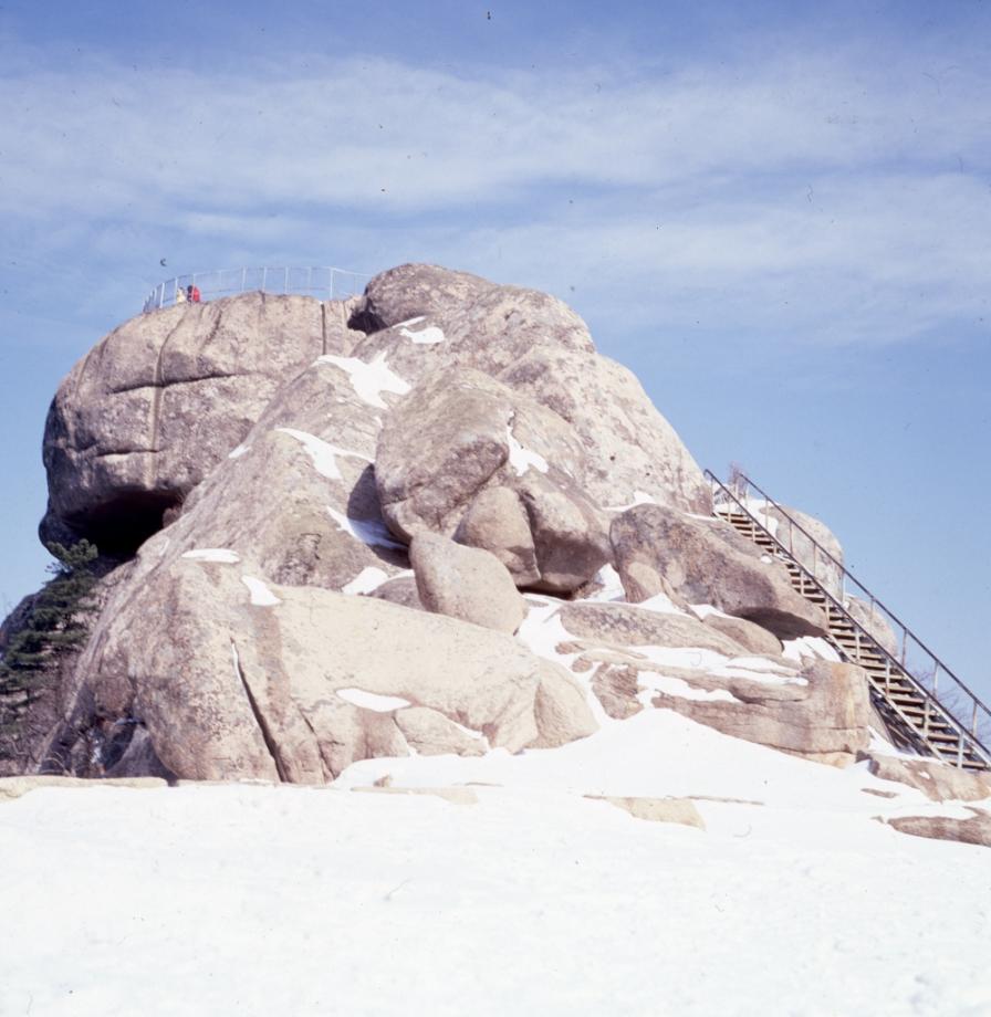 김운기 컬렉션이미지