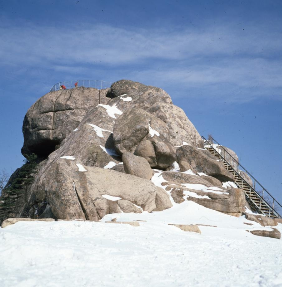김운기 컬렉션이미지