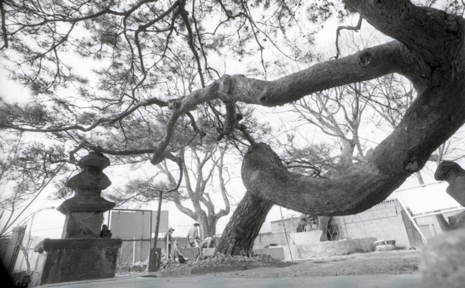 충주 단호사 삼층석탑이미지