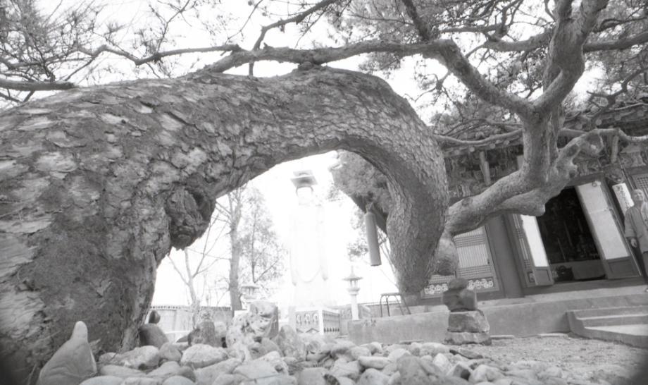 충주 단호사 삼층석탑이미지