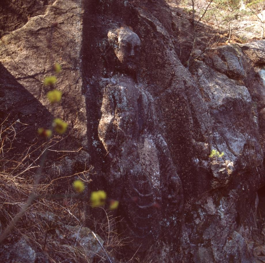 진천 사곡리 마애여래입상이미지