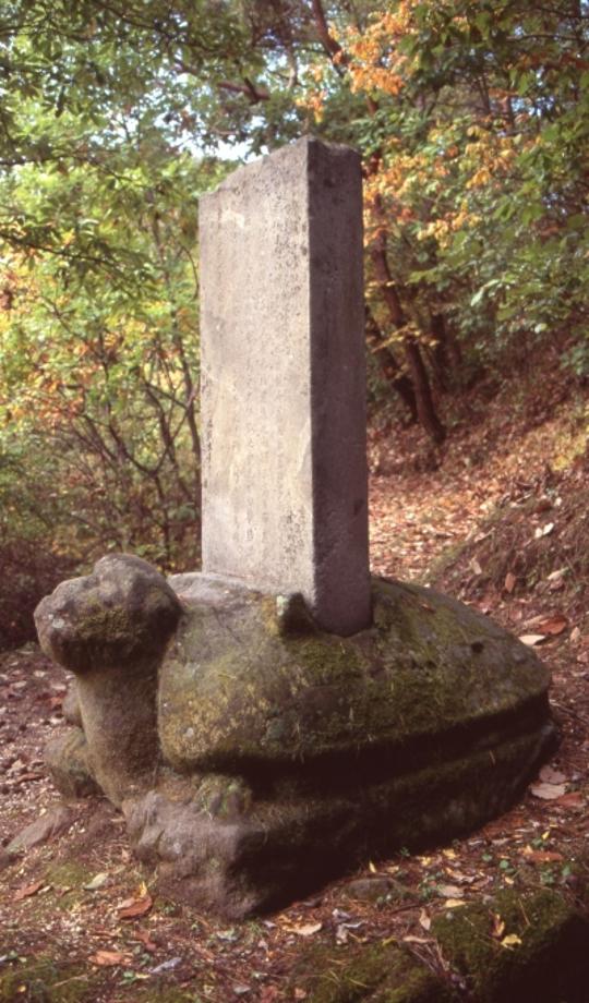 충주 청룡사 위전비이미지