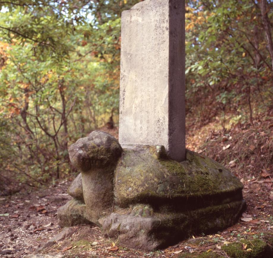 충주 청룡사 위전비이미지