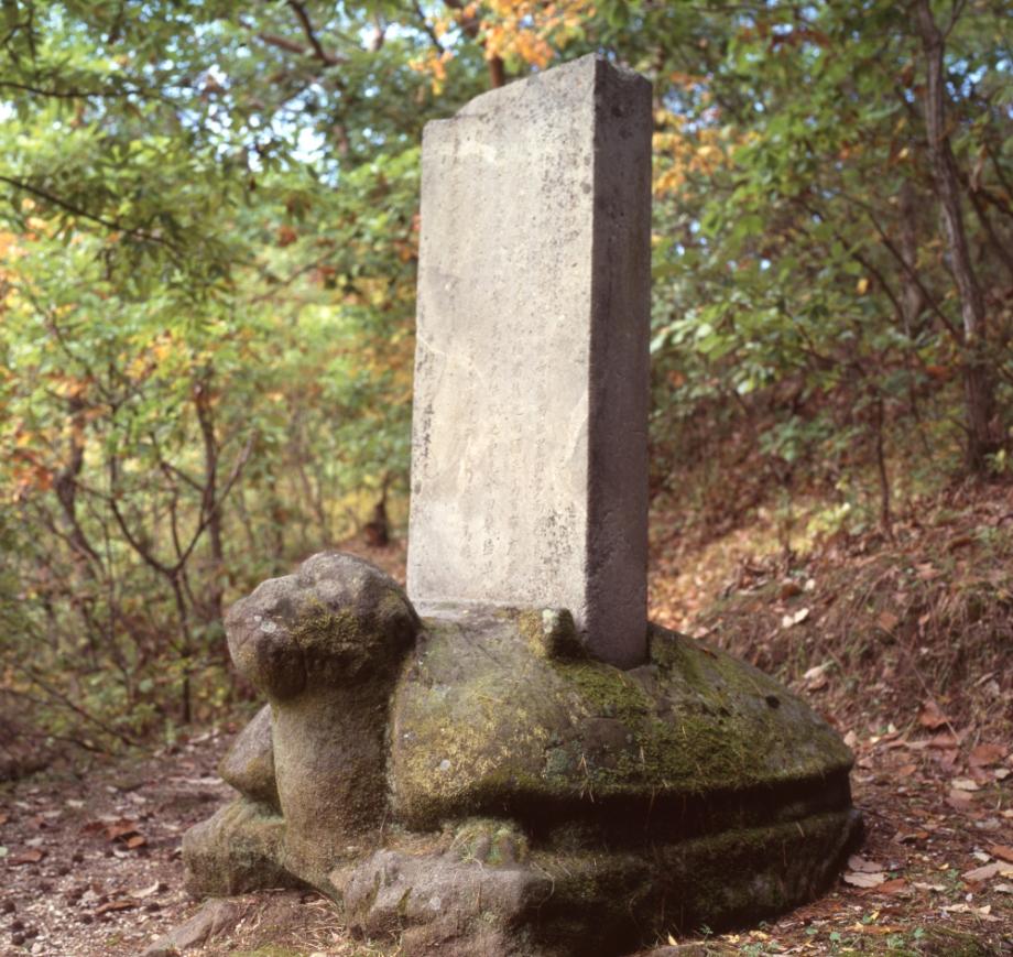 충주 청룡사 위전비이미지