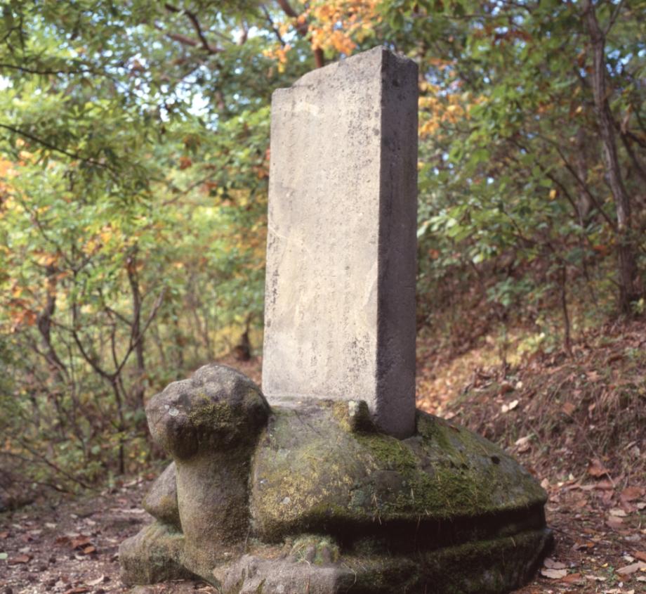 충주 청룡사 위전비이미지