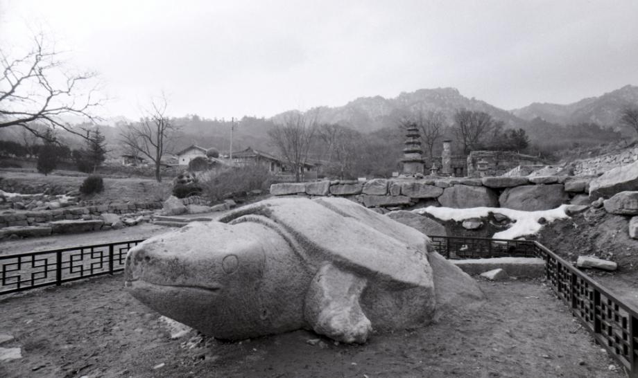 충주 미륵대원지 석조귀부이미지
