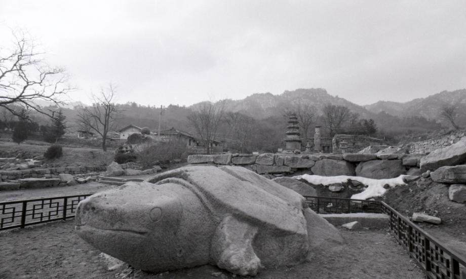 충주 미륵대원지 석조귀부이미지