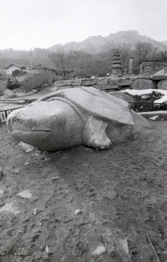 충주 미륵대원지 석조귀부이미지