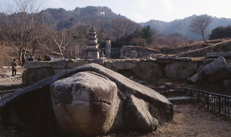 충주 미륵대원지 석조귀부이미지