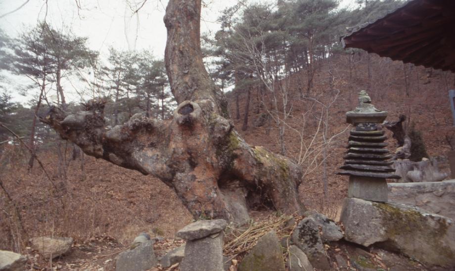 보은 법주사 여적암 다층청석탑이미지