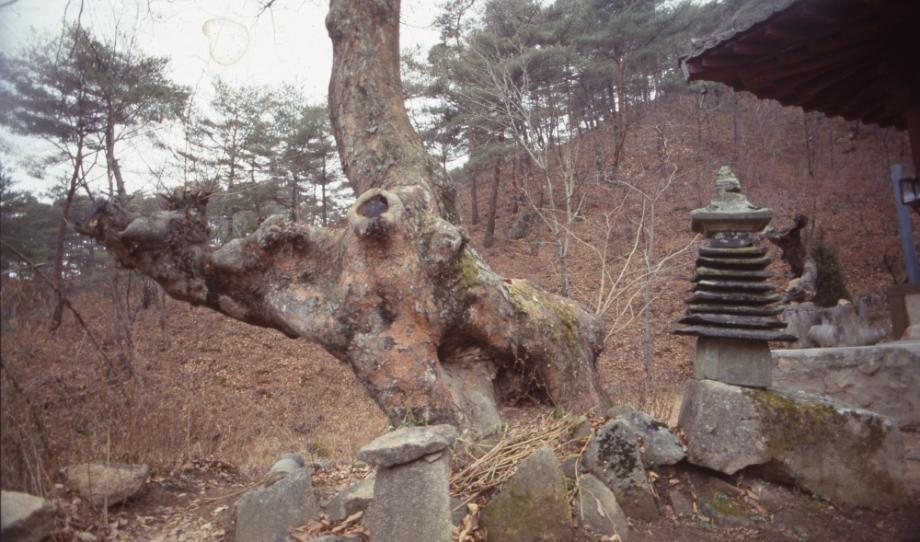 보은 법주사 여적암 다층청석탑이미지