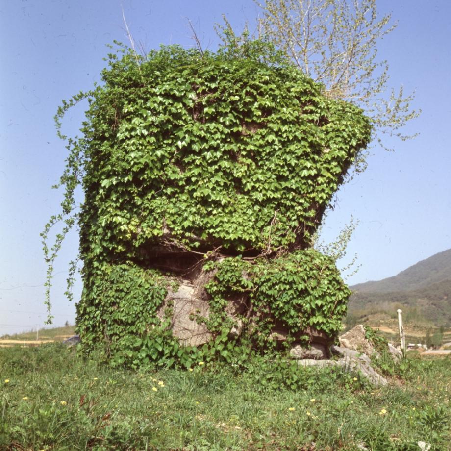 제천 입석리 선돌이미지