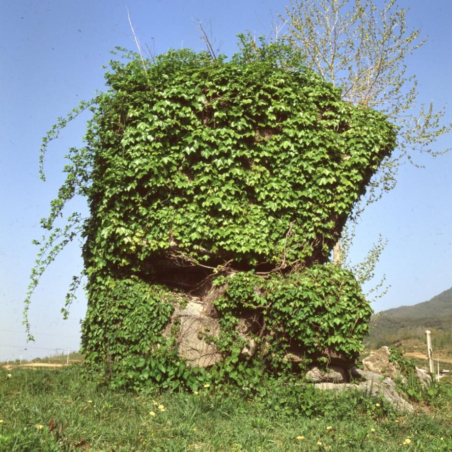 제천 입석리 선돌이미지