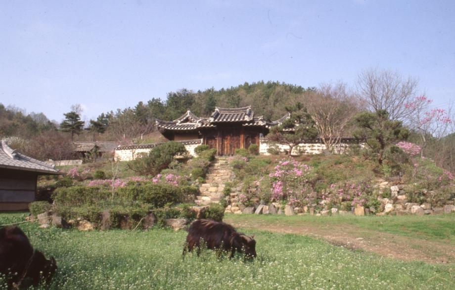 김운기 컬렉션