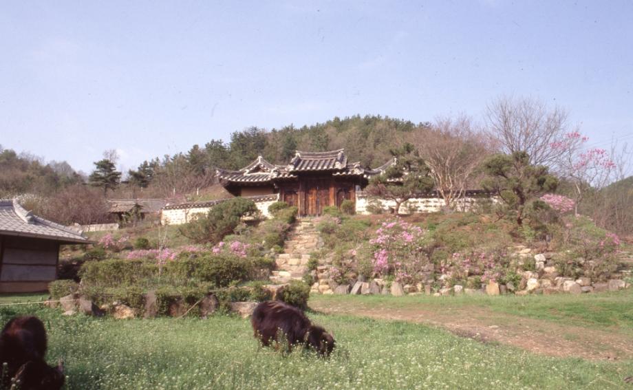 김운기 컬렉션