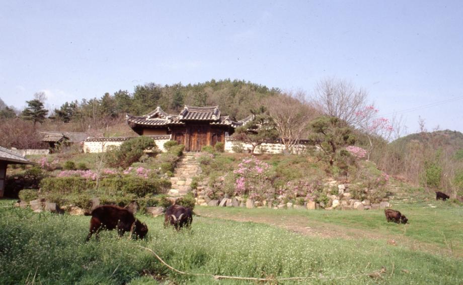 김운기 컬렉션
