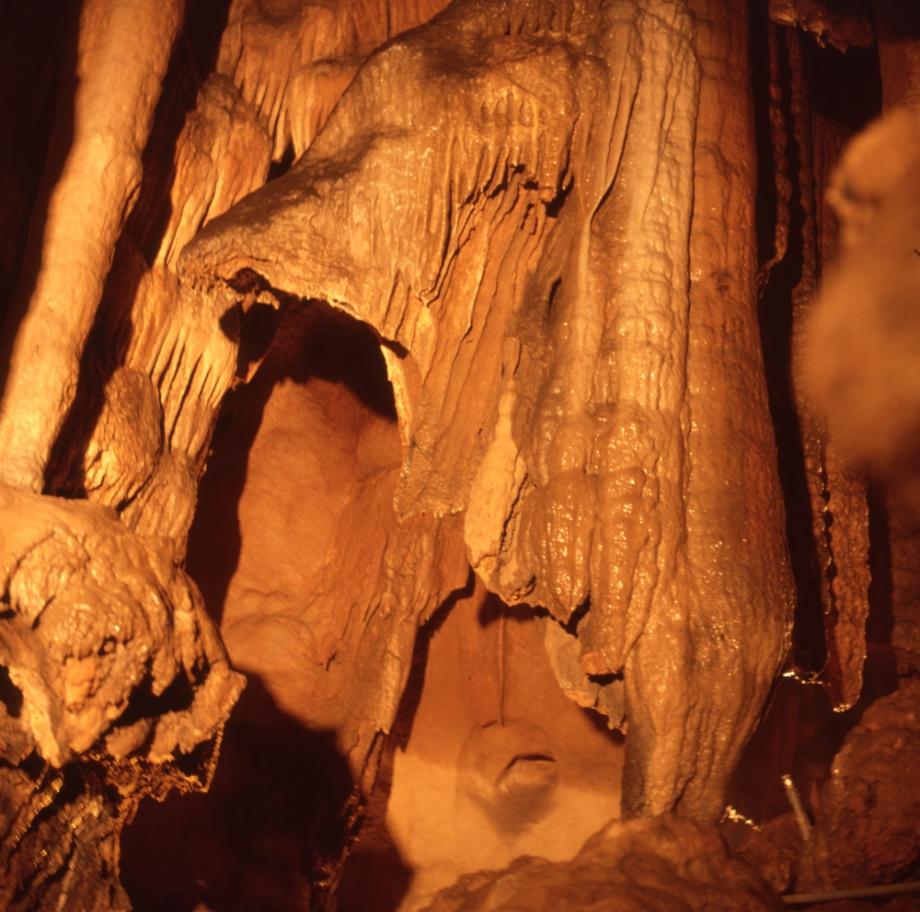 단양 고수동굴이미지