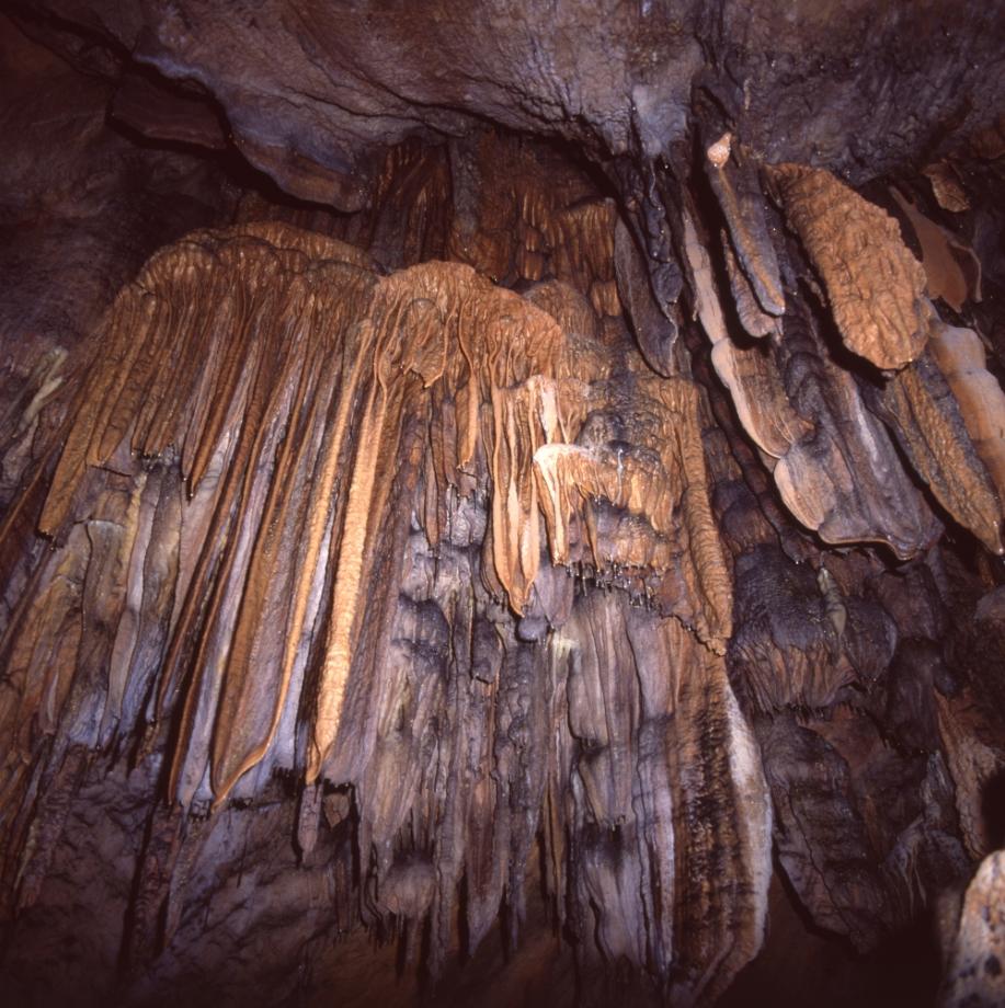 단양 고수동굴이미지