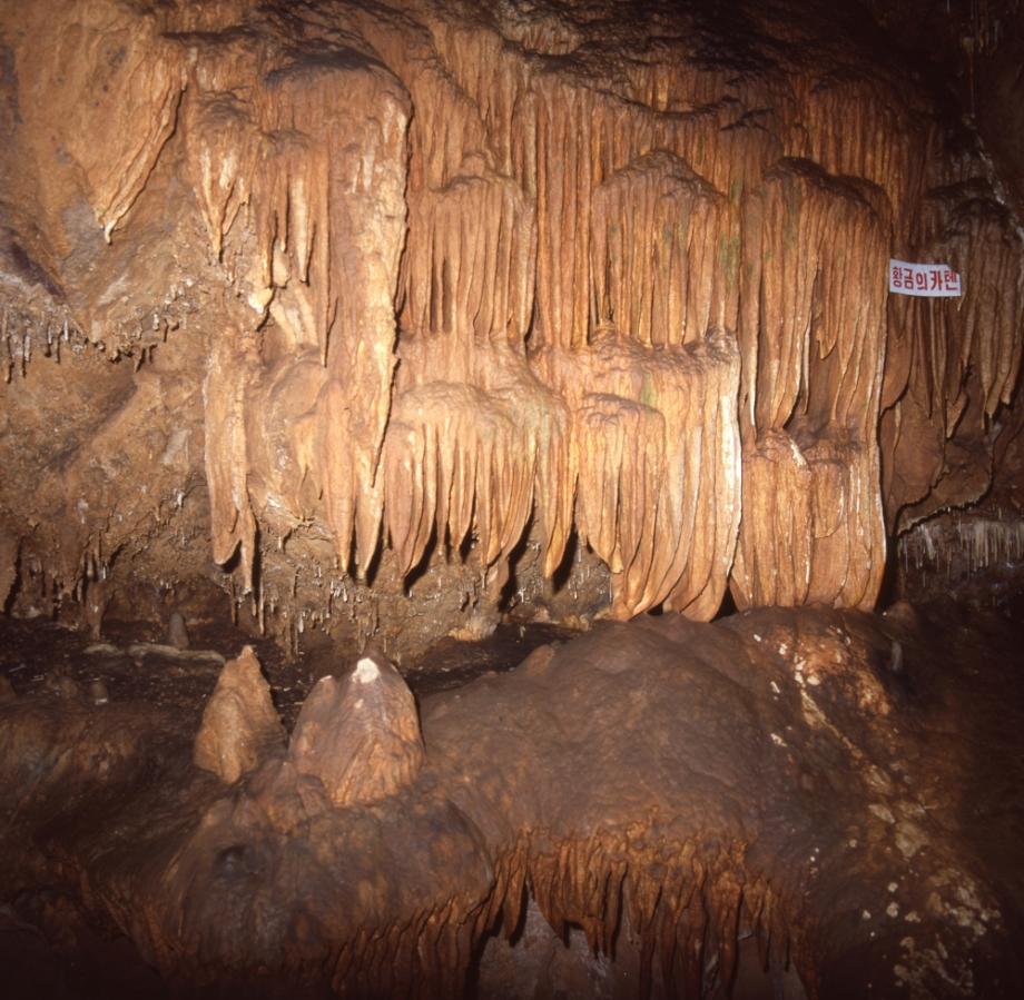 단양 고수동굴이미지