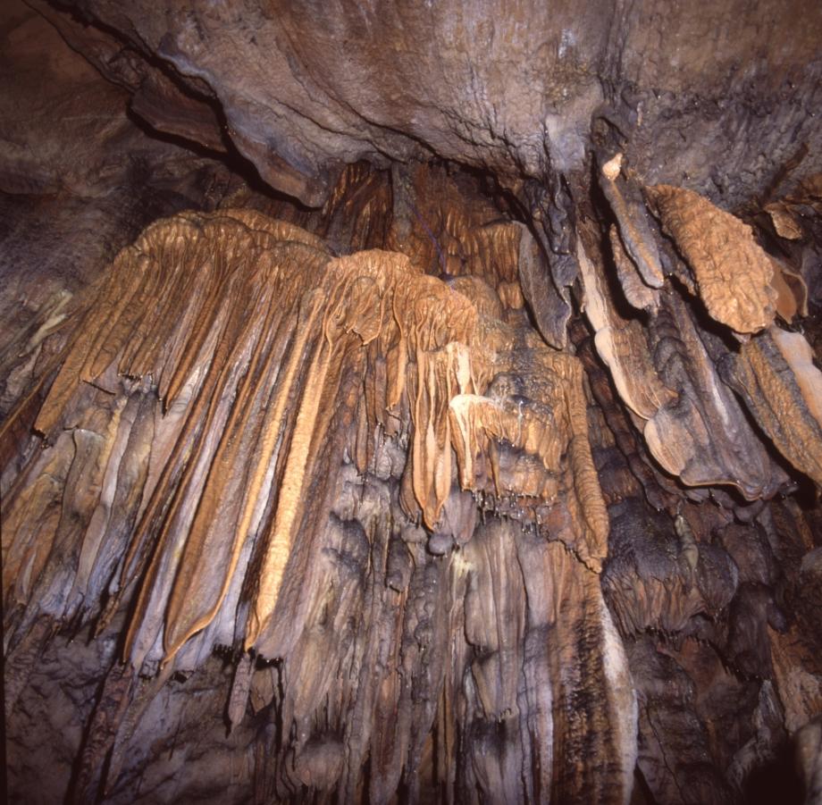 단양 고수동굴이미지