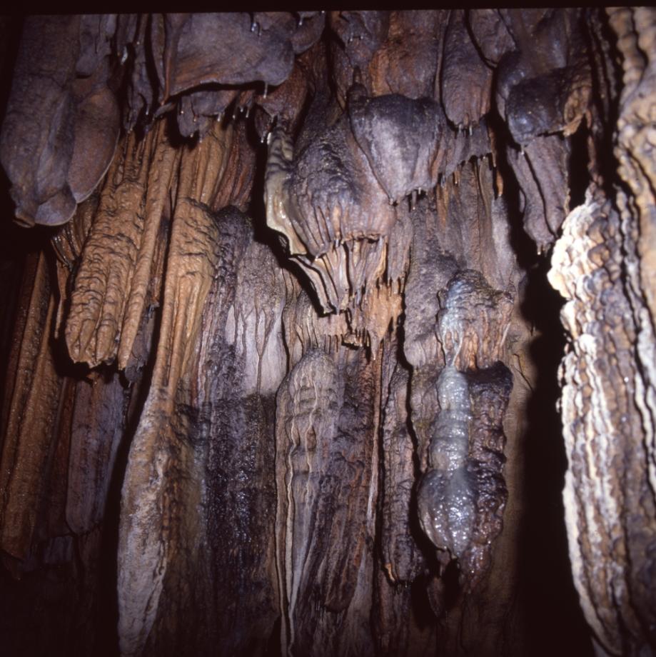 단양 고수동굴이미지