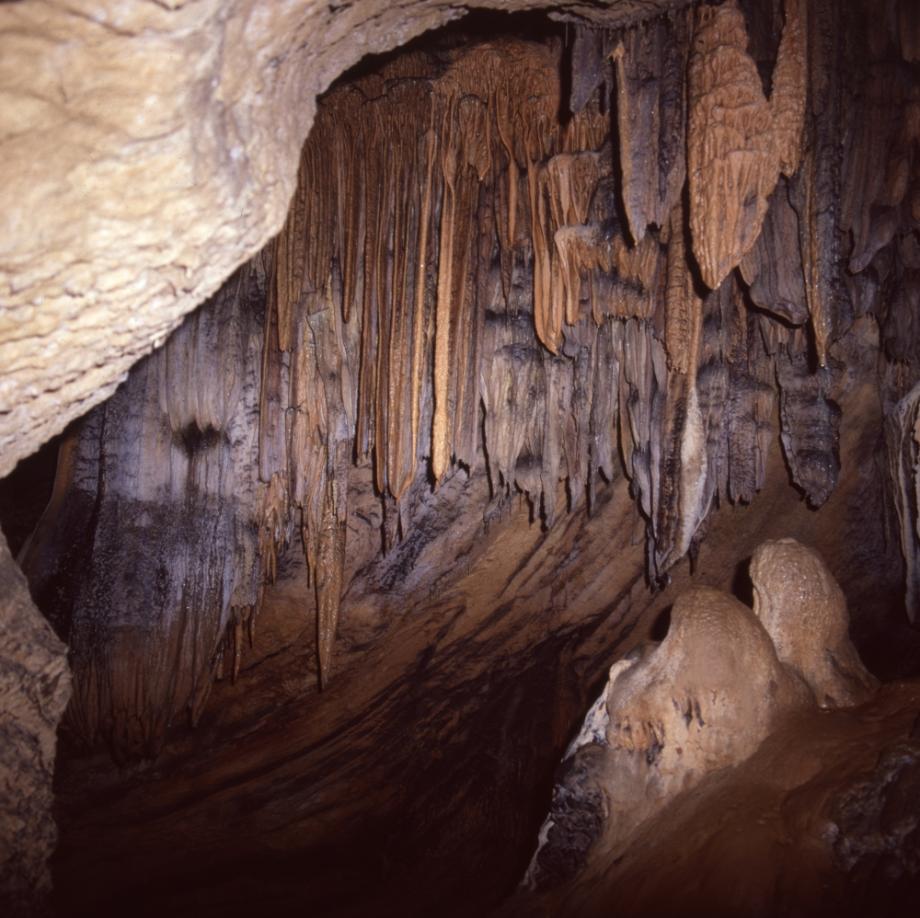 단양 고수동굴이미지