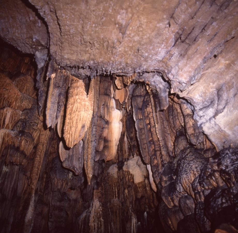 단양 고수동굴이미지