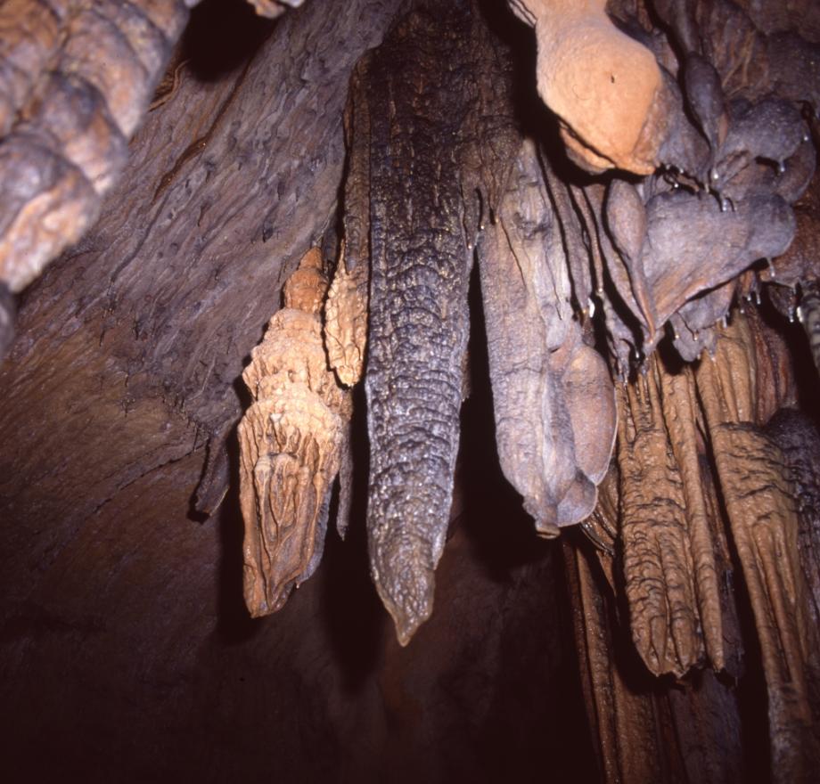단양 고수동굴이미지