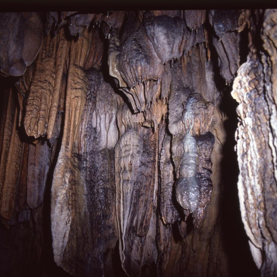 단양 고수동굴이미지