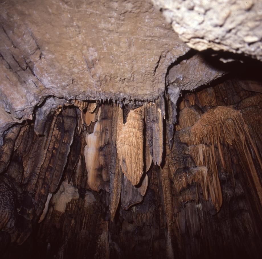 단양 고수동굴이미지