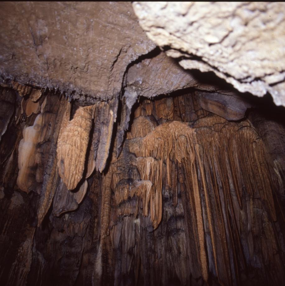 단양 고수동굴이미지