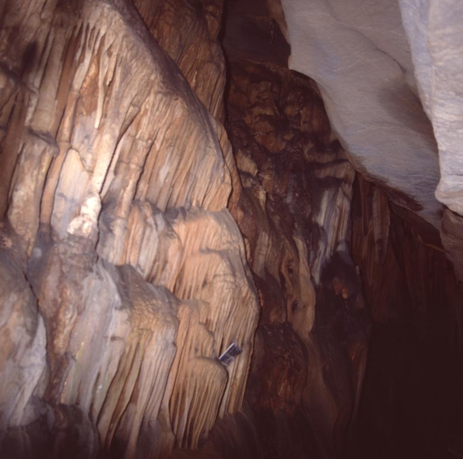 단양 고수동굴이미지
