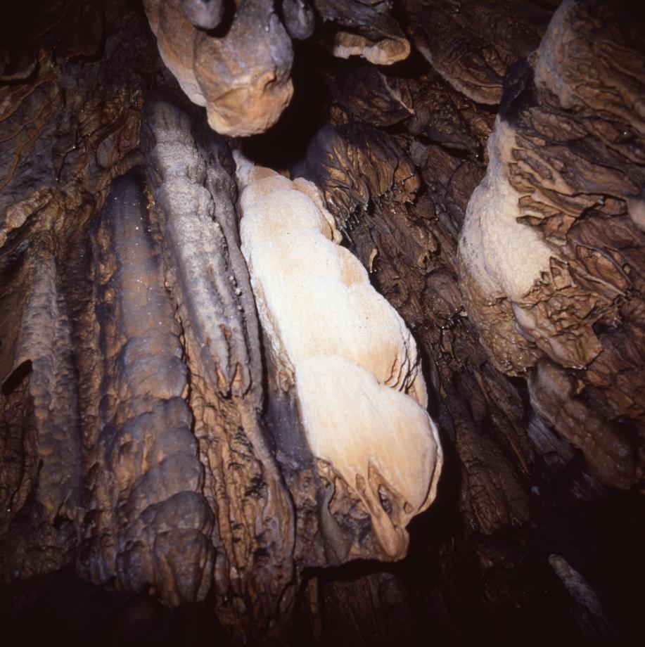 단양 고수동굴이미지