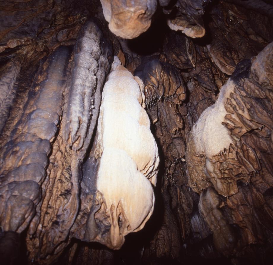 단양 고수동굴이미지