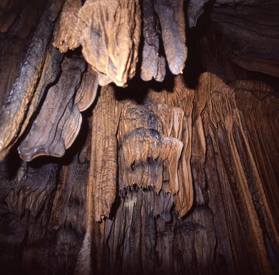 단양 고수동굴이미지