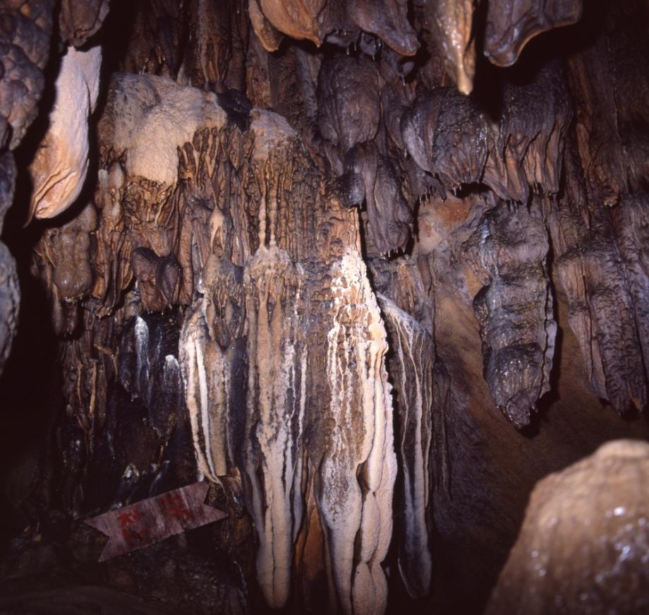 단양 고수동굴이미지
