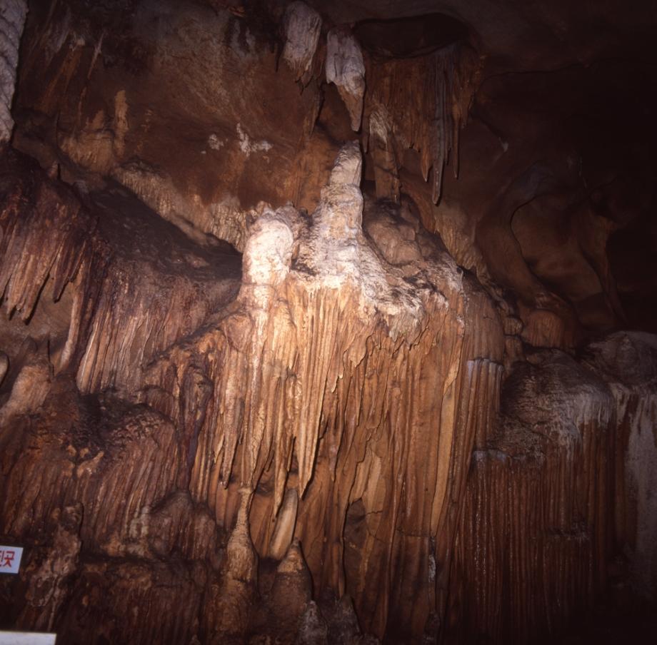 단양 고수동굴이미지