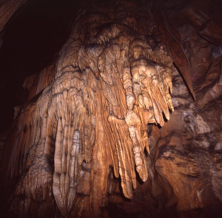 단양 고수동굴이미지