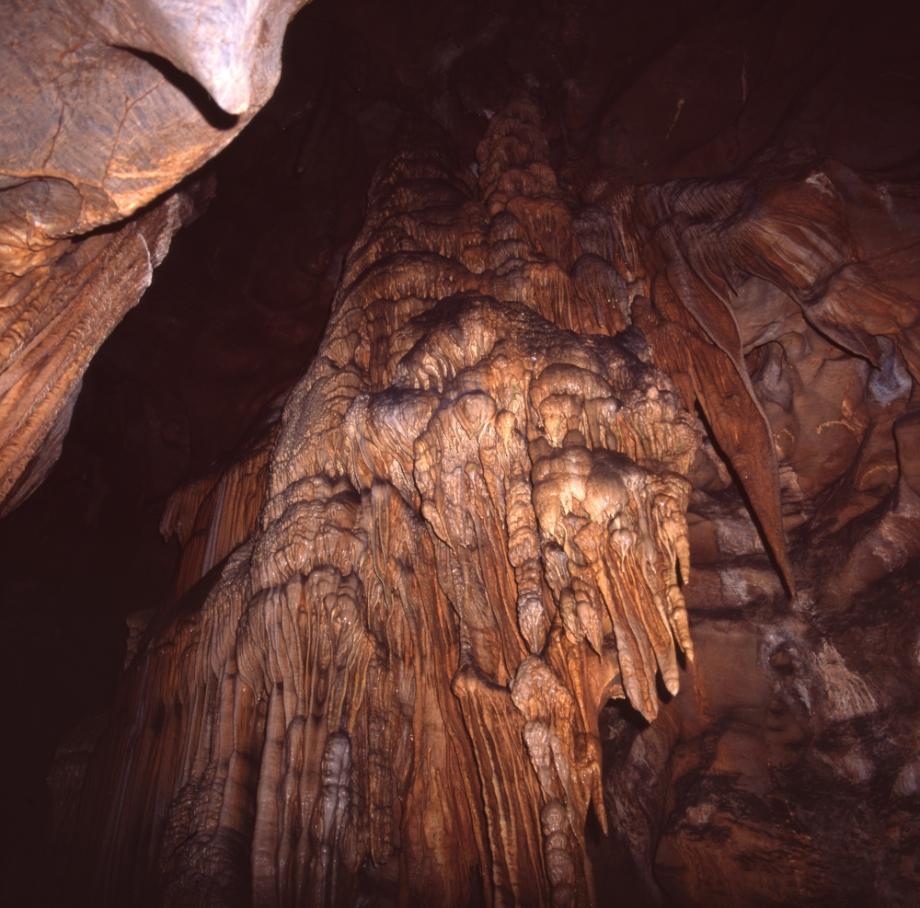 단양 고수동굴이미지
