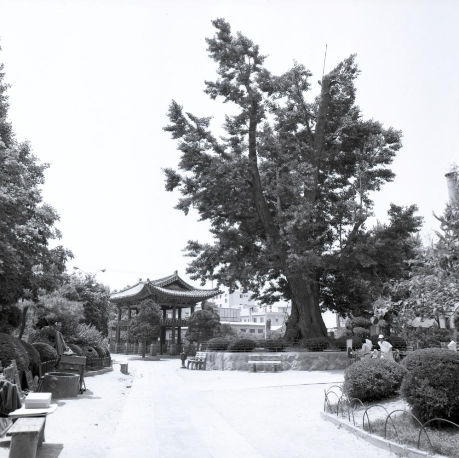 청주 충청도병마절도사영문이미지