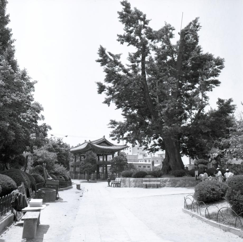 청주 충청도병마절도사영문이미지