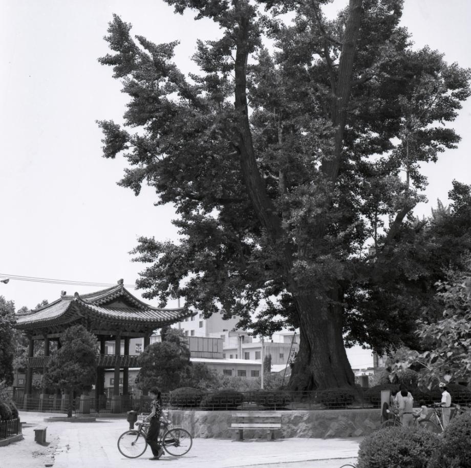 청주 충청도병마절도사영문이미지