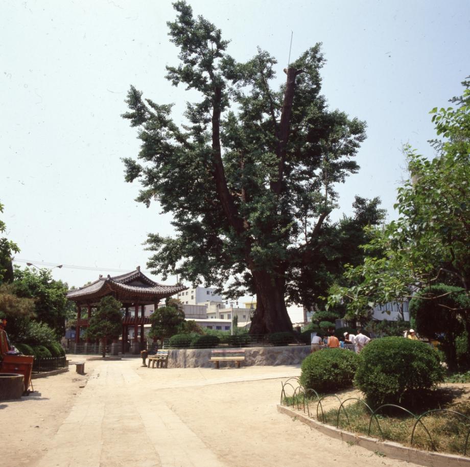 청주 충청도병마절도사영문이미지