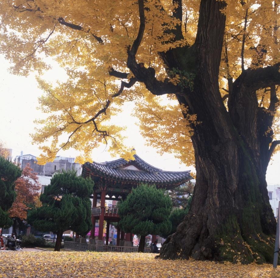 청주 충청도병마절도사영문이미지