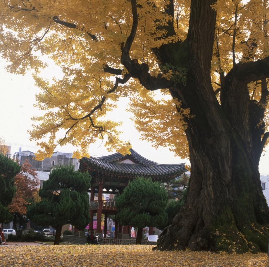 청주 충청도병마절도사영문이미지