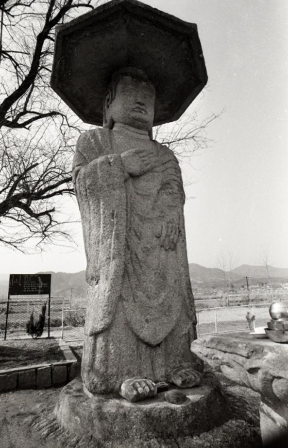 충주 원평리 석조여래입상이미지