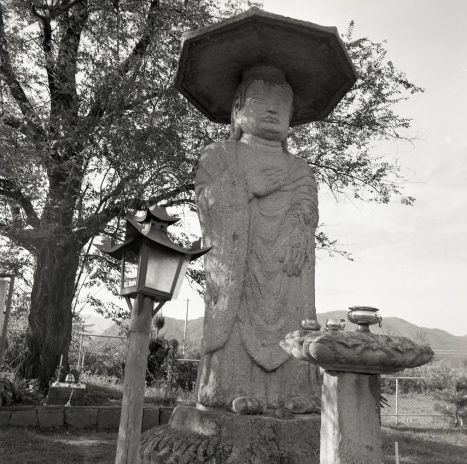 충주 원평리 석조여래입상이미지