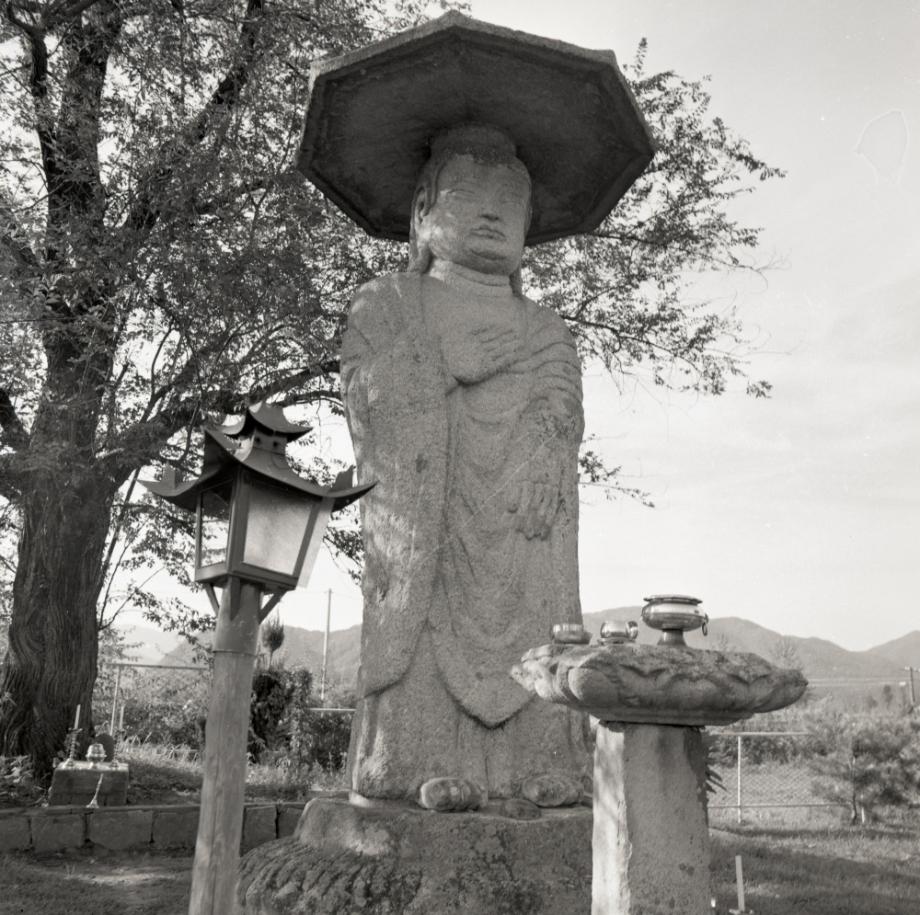 충주 원평리 석조여래입상이미지